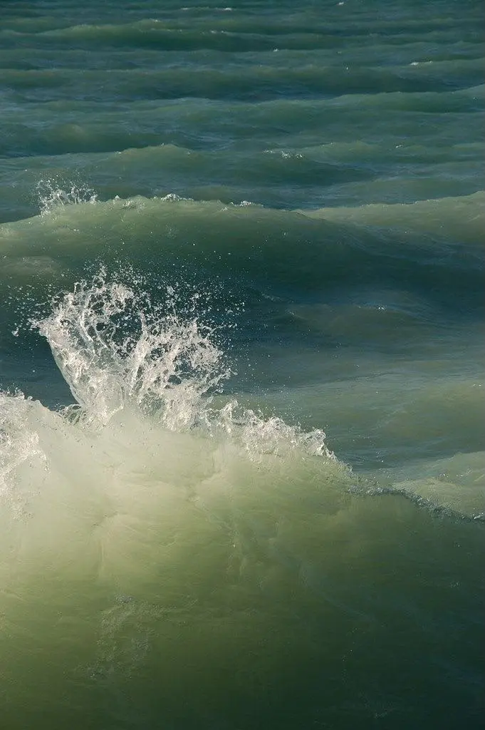 Olas verdes en movimiento
